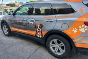 Squish and Charlie's doggy shuttle passenger